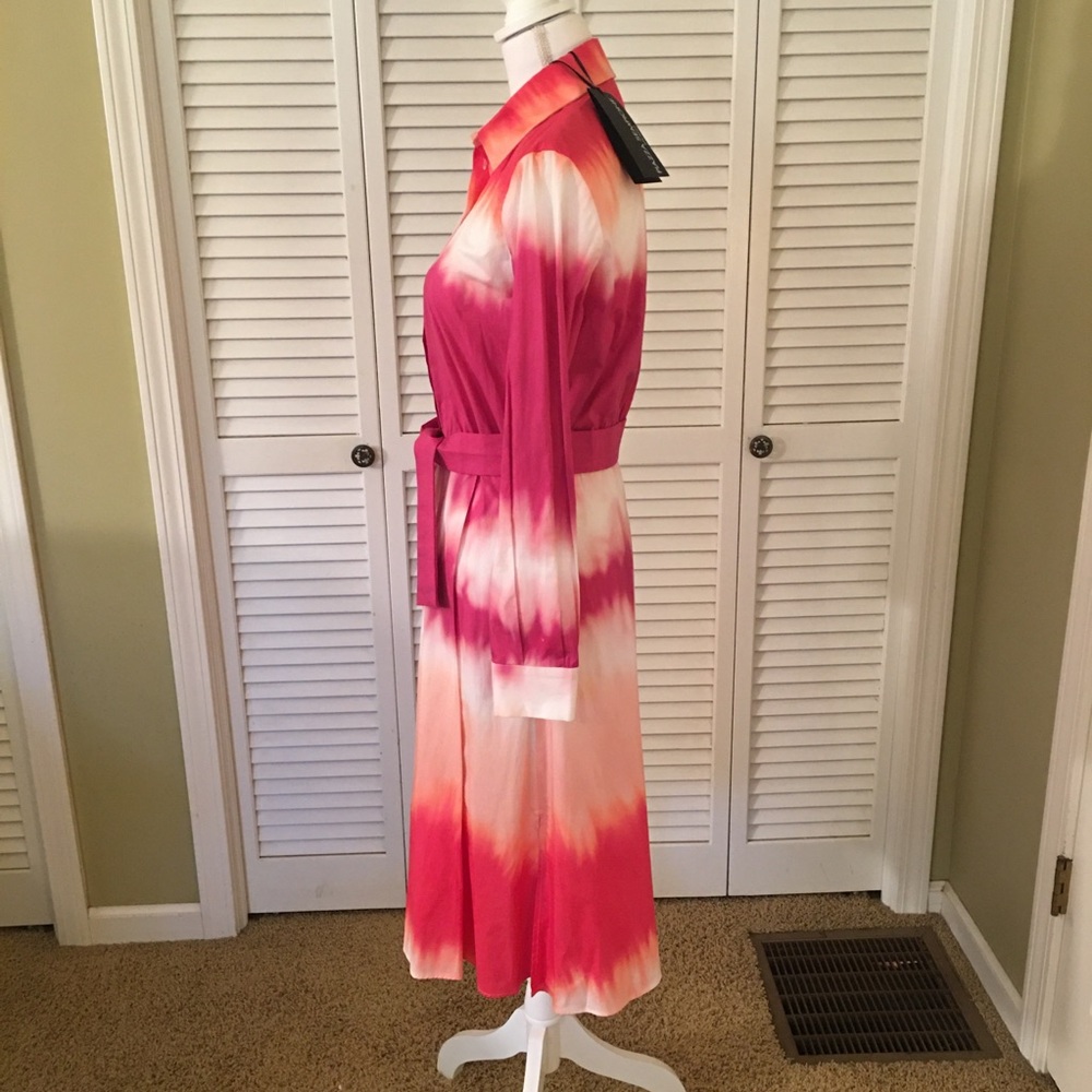 Piazza Sempione Elegant Pink Ombre Luxury Designer Shirt Dress NWT Size 40 (6) - Picture 3 of 11